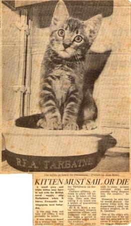 Tarbatness Cat