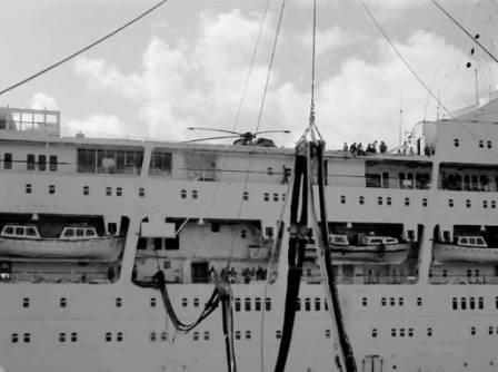 Canberra RAS RFA Plumleaf 2