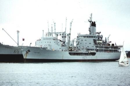 GOLD ROVER Plumleaf at Pmouth