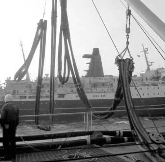 Rangatira RAS RFA Plumleaf