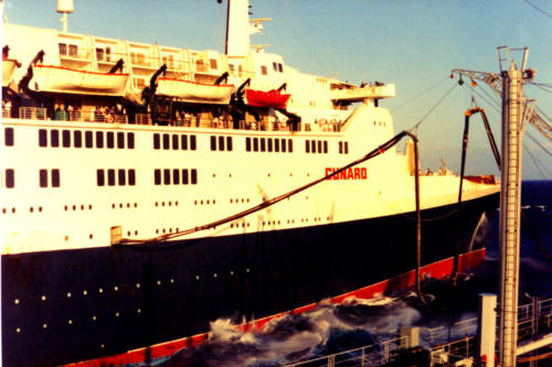Bayleaf_RAS_QE2_5