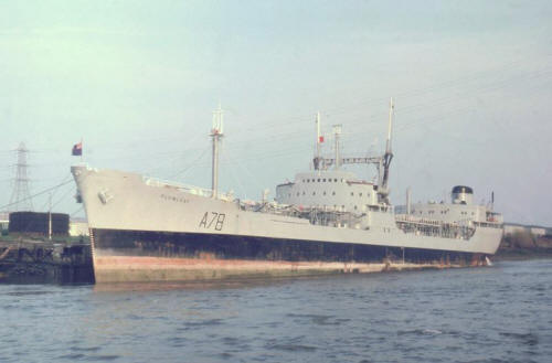 Plumleaf_Old_Kilpatrick