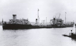 RFA Dingledale RFA Dingledale