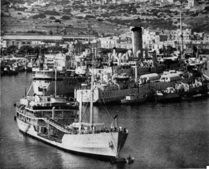 Blue Ranger at Malta