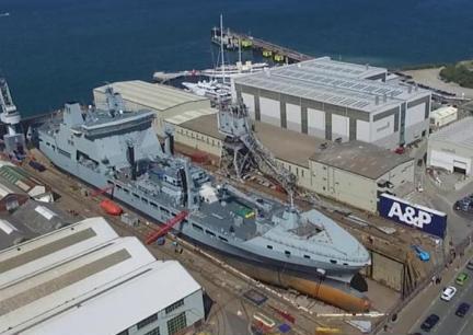 Spring 10 5 17 Fmouth crane