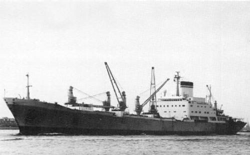 avelona2_falklands_2_small