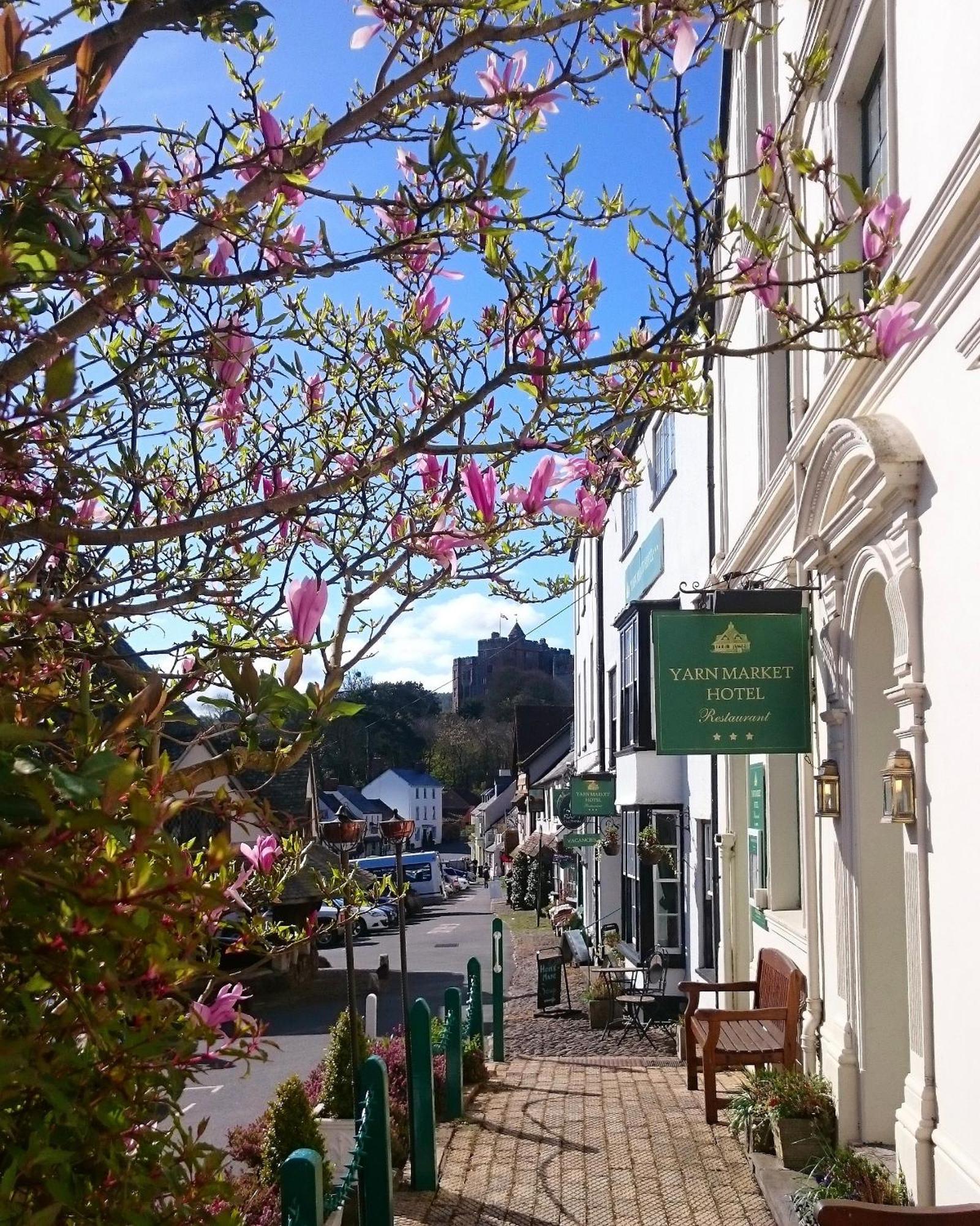 Where to Stay Near Dunster Castle: 6 Central Hotels Reviewed