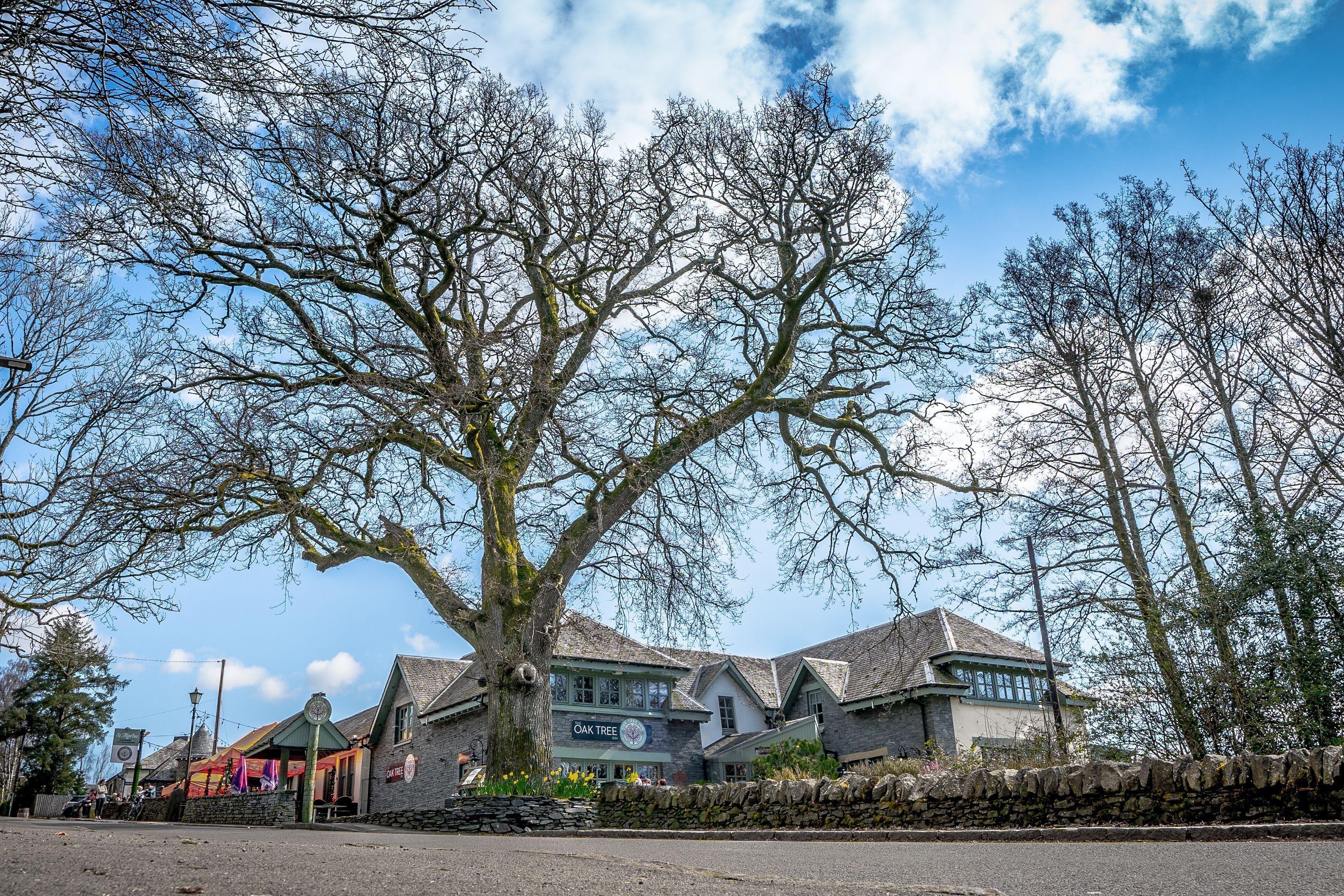 15 Exceptional Design Hotels in Central Scotland Worth Booking